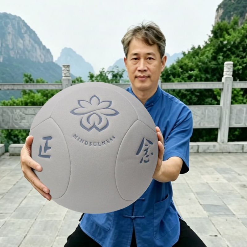Yoga Fitness Health - 대형 휴대용 태극 건강 공, 쿵푸